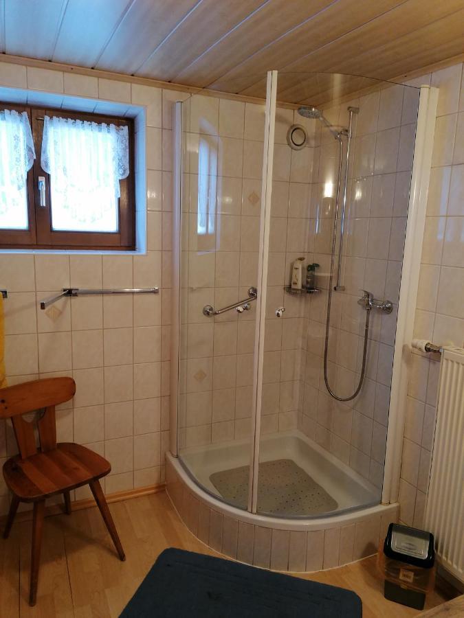Appartement Haus Spertental à Kirchberg en Tyrol Extérieur photo